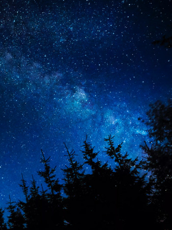 Эй, вы, там внизу - Гарольд Рольсет