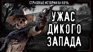 Ужас дикого запада. Паддлсторм - D Disk