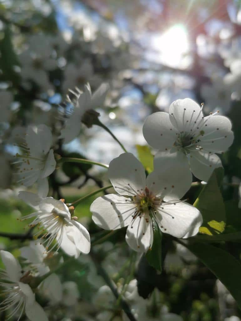 Весна. Фото №2