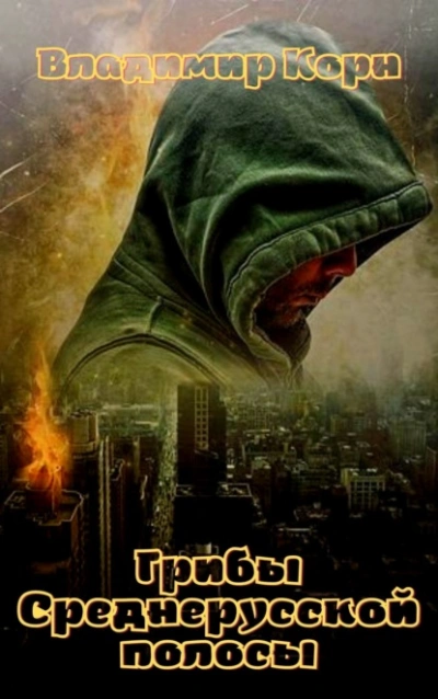 Грибы Среднерусской полосы - Владимир Корн